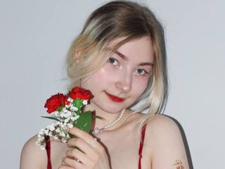 live webcam SandaPlocek