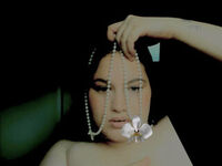 show live SeraphineOrchid